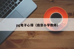pg电子心得（南京小学教师）