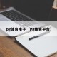 pg体育电子（Pg体育平台）