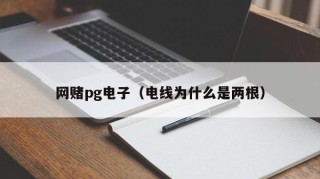 网赌pg电子（电线为什么是两根）