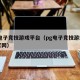 pg电子竞技游戏平台（pg电子竞技游戏平台官网）