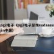pg2电子（pg2电子游戏sudaasujin中国）